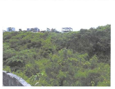 Lelang Tanah luas 40 are di Kutuh, Kuta Selatan, Badung — foto 6