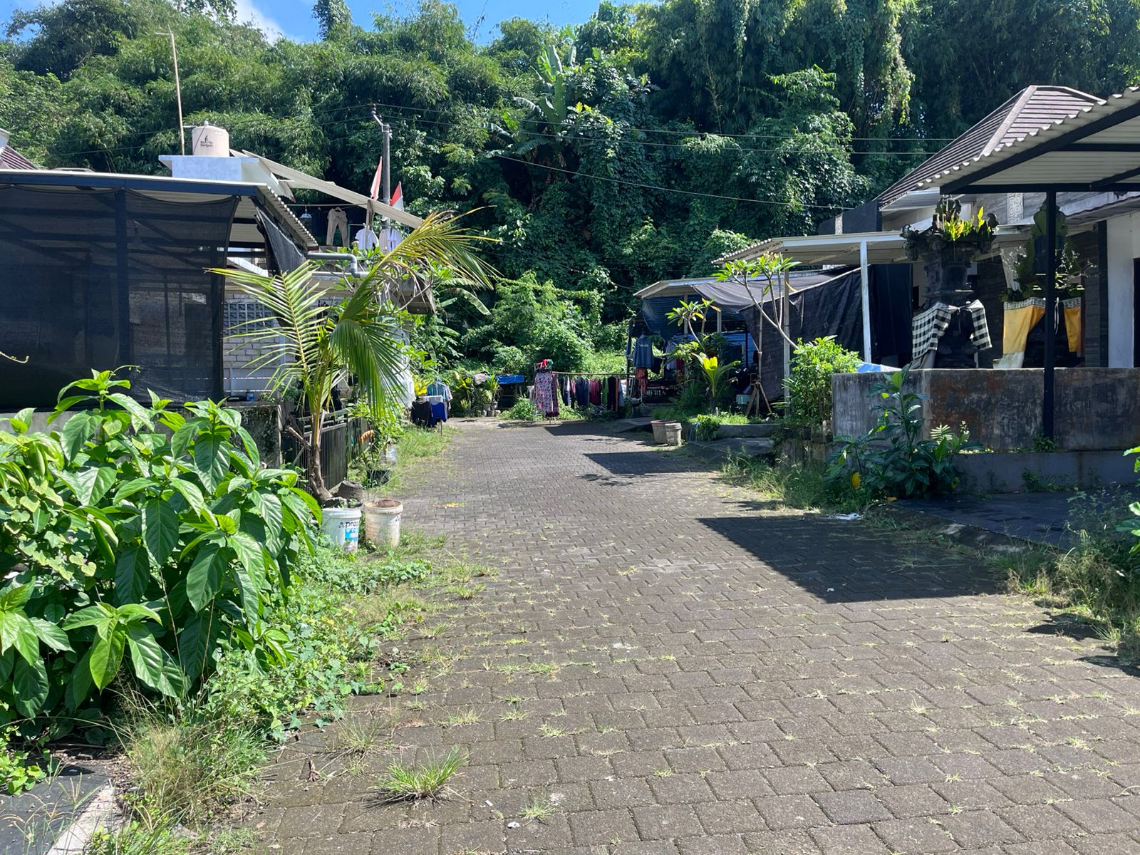 Lelang Rumah luas 0,91 are di Samsam, Kerambitan, Tabanan — foto 2
