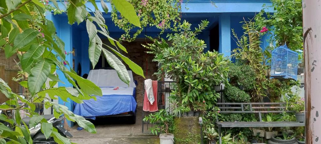 Lelang Rumah luas 0,72 are di Baturiti, Kerambitan, Tabanan — foto 3