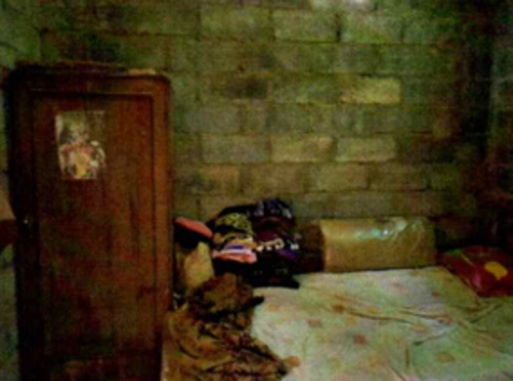 Lelang Rumah luas 1,9 are di Sangsit, Sawan, Buleleng — foto 4