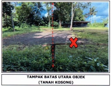 Lelang Tanah luas 10,5 are di Sibanggede, Abiansemal, Badung — foto 4