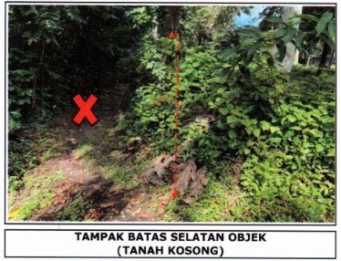 Lelang Tanah luas 10,5 are di Sibanggede, Abiansemal, Badung — foto 3