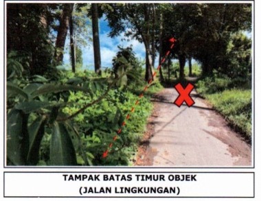 Lelang Tanah luas 10,5 are di Sibanggede, Abiansemal, Badung — foto 6