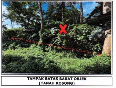 Lelang Tanah luas 10,5 are di Sibanggede, Abiansemal, Badung — foto 2