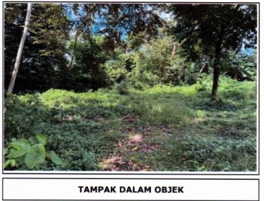 Lelang Tanah luas 10,5 are di Sibanggede, Abiansemal, Badung — foto 1