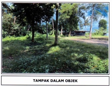 Lelang Tanah luas 10,5 are di Sibanggede, Abiansemal, Badung — foto 5