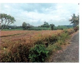 Lelang Tanah luas 45,17 are di Sedang, Abiansemal, Badung — foto 2