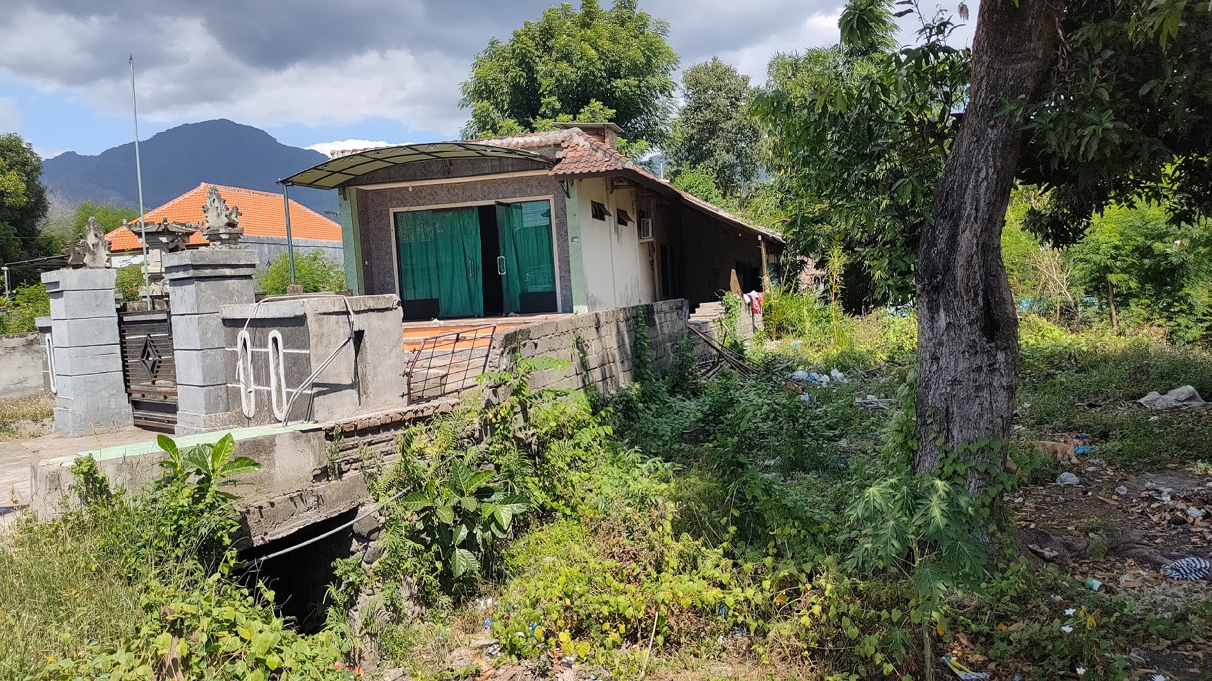 Lelang Rumah luas 4 are di Sumberkima, Gerokgak, Buleleng — foto 4