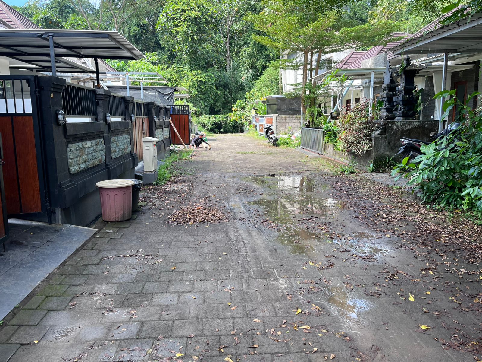 Lelang Rumah luas 0,91 are di Samsam, Kerambitan, Tabanan — foto 4