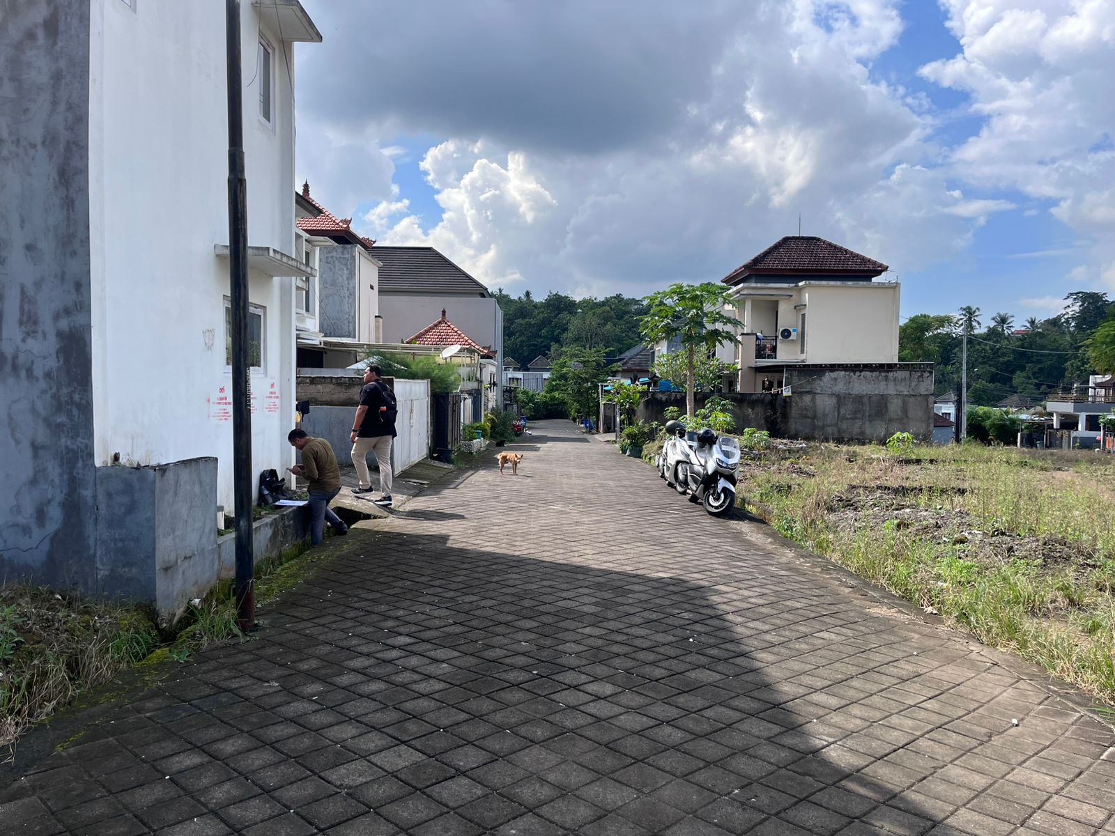 Lelang Rumah luas 1,01 are di Batuaji, Kerambitan, Tabanan — foto 2