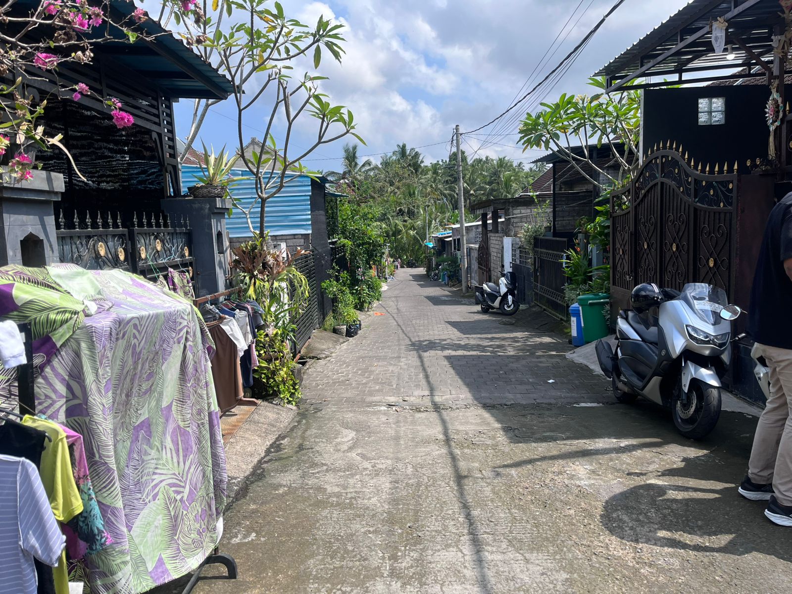 Lelang Rumah luas 0,63 are di Batu Aji, Kerambitan, Tabanan — foto 4