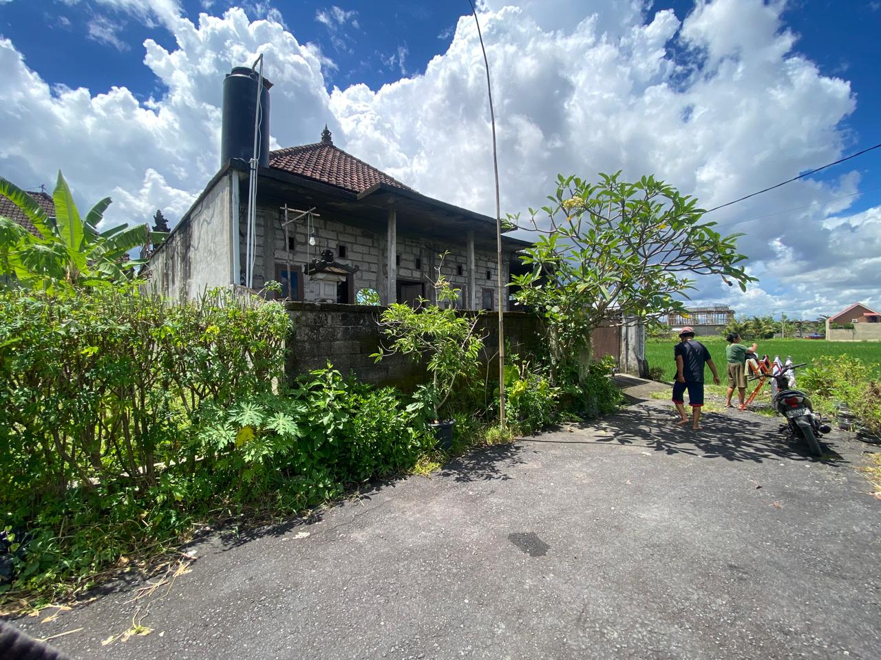 Lelang Rumah luas 1,5 are di Buruan, Blahbatuh, Gianyar — foto 3