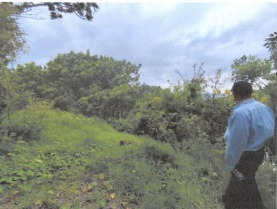 Lelang Tanah luas 126,6 are di Kubu, Tulamben, Karangasem — foto 12