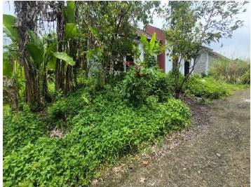 Lelang Rumah luas 1,5 are di Padangkerta, Karangasem, Karangasem — foto 3
