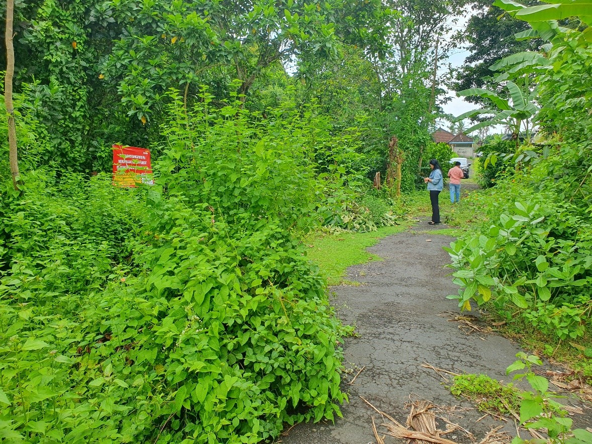 Lelang Tanah luas 2 are di Padangbai, Manggis, Karangasem — foto 3