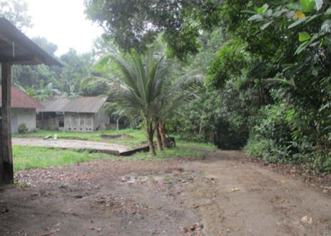 Lelang Tanah luas 61 are di Ababi, Abang, Karangasem — foto 5