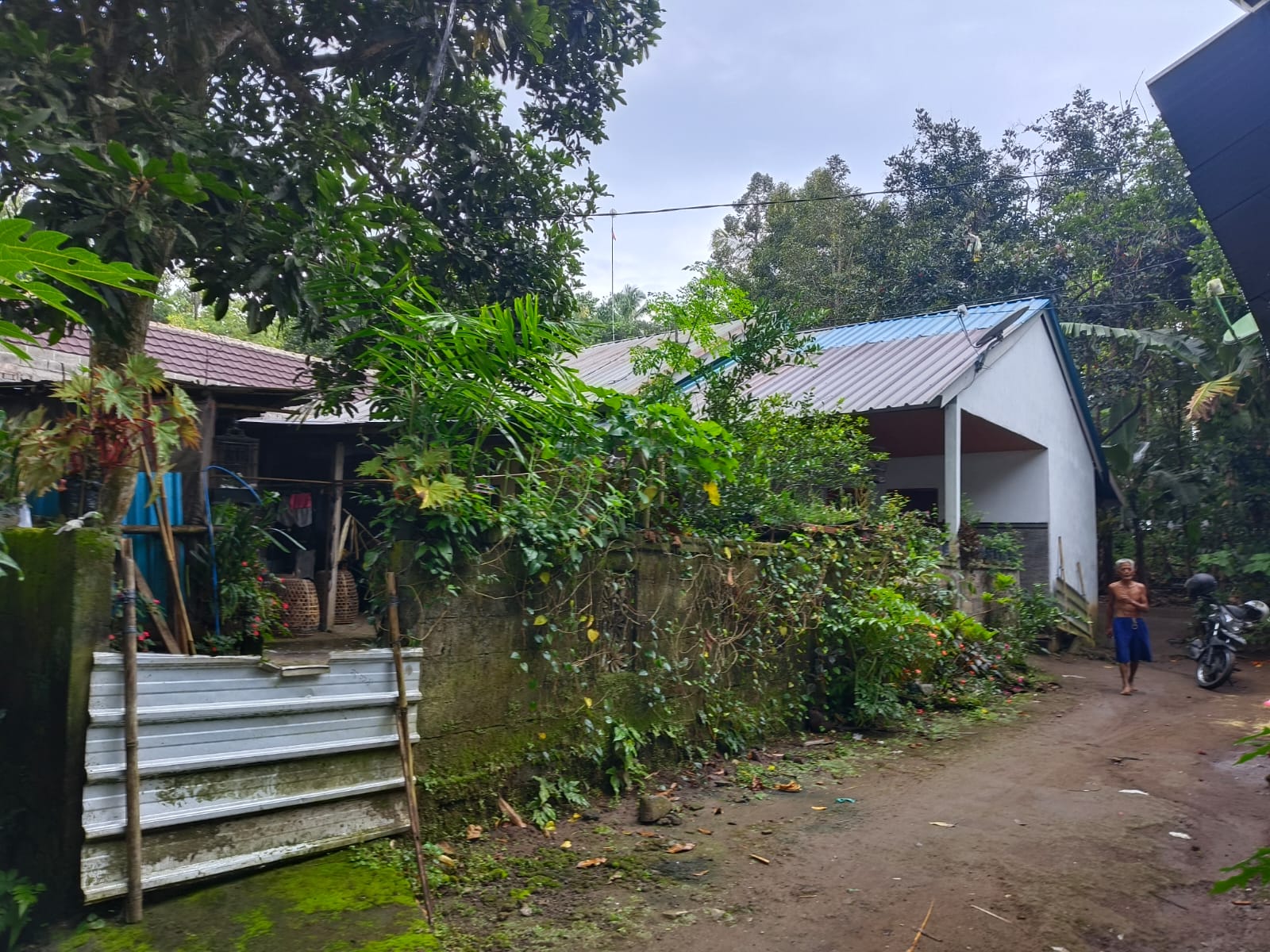 Lelang Rumah luas 1,8 are di Bukit, Karangasem, Karangasem — foto 4