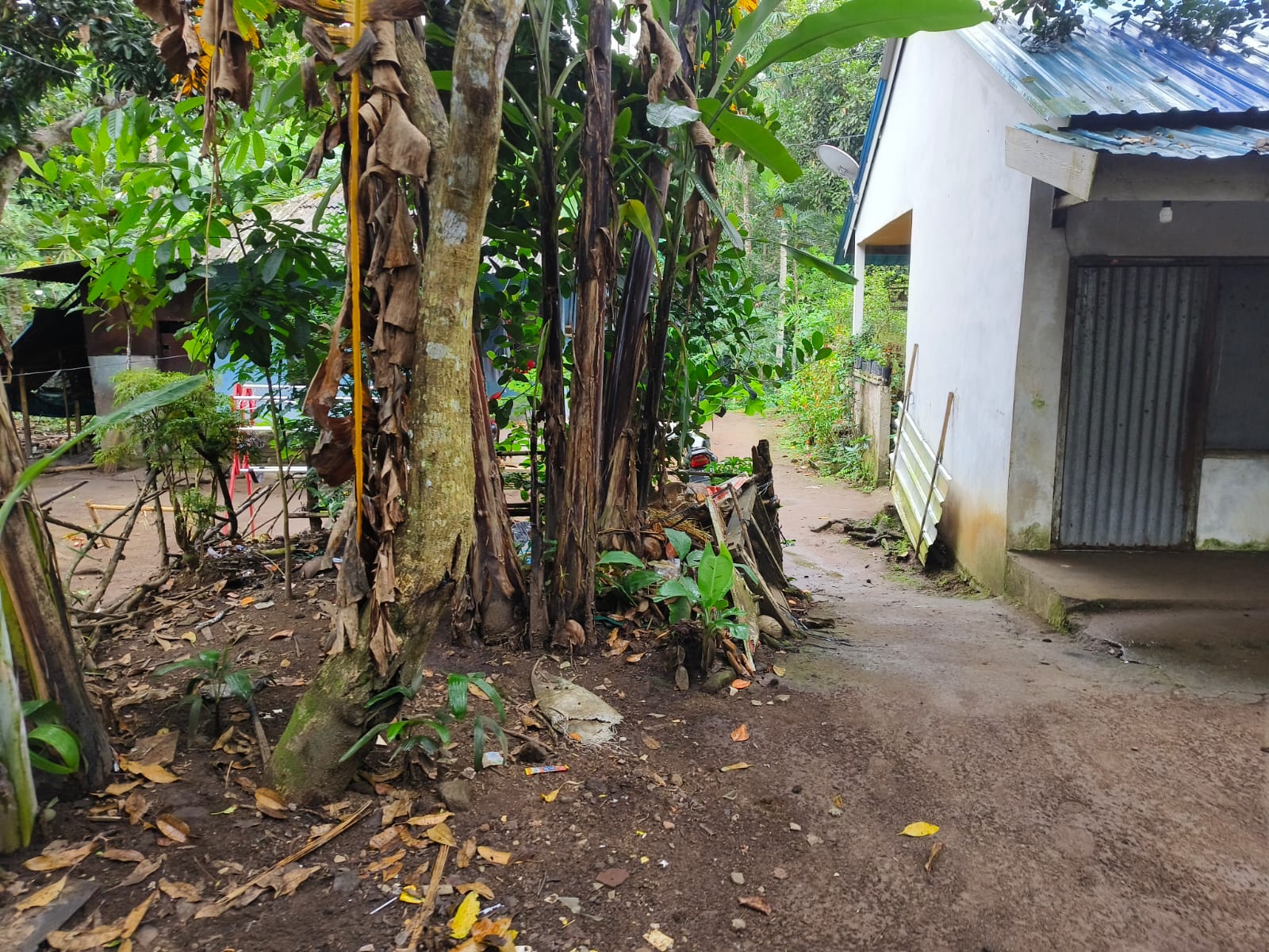 Lelang Rumah luas 2,45 are di Bukit, Karangasem, Karangasem — foto 1