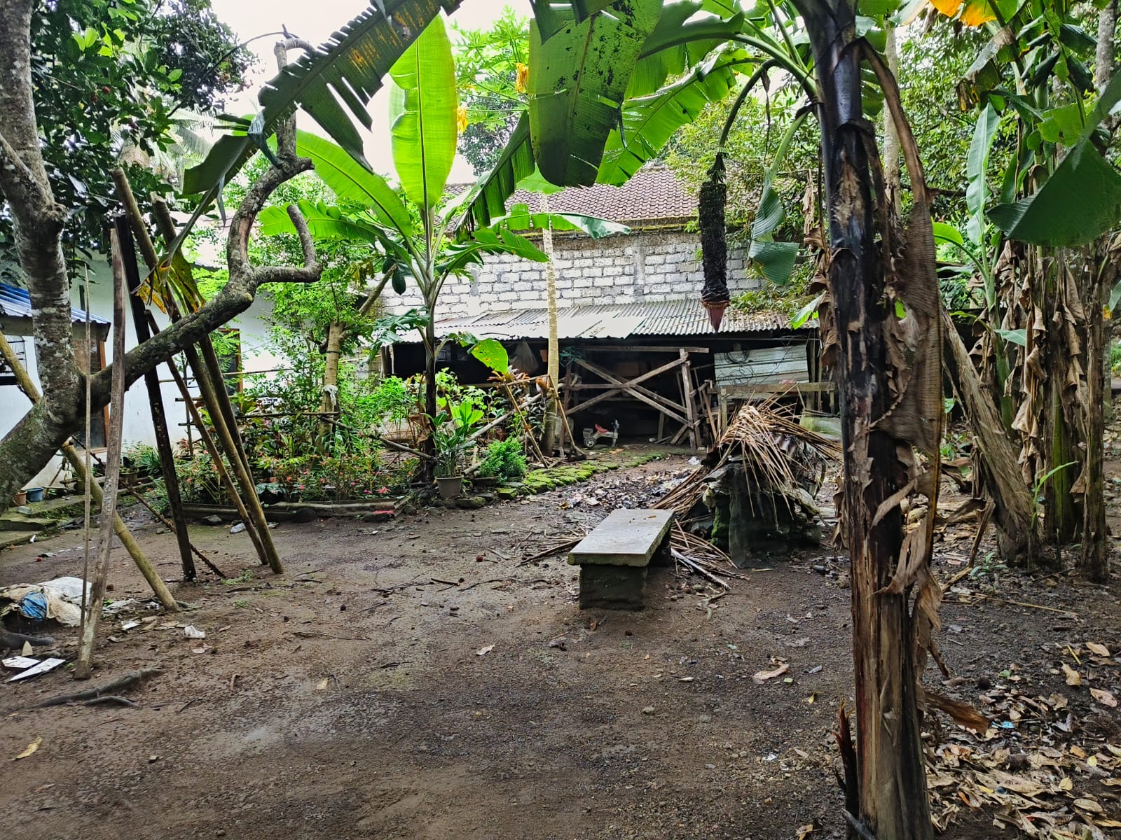 Lelang Rumah luas 2,45 are di Bukit, Karangasem, Karangasem — foto 2