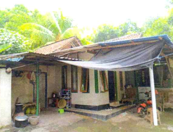 Lelang Rumah luas 12 are di Penyabangan, Gerokgak, Buleleng — foto 2