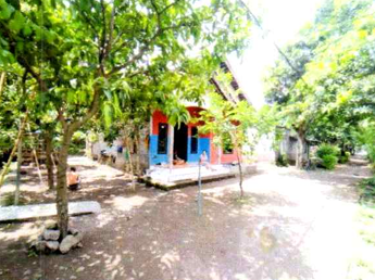 Lelang Rumah luas 12 are di Penyabangan, Gerokgak, Buleleng — foto 1