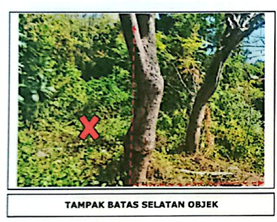 Lelang Tanah luas 3 are di Kubutambahan, Kubutambahan, Buleleng — foto 3