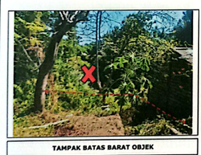 Lelang Tanah luas 3 are di Kubutambahan, Kubutambahan, Buleleng — foto 4
