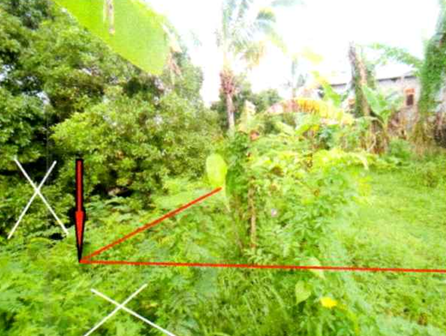 Lelang Tanah luas 1 are di Ambengan, Sukasada, Buleleng — foto 4