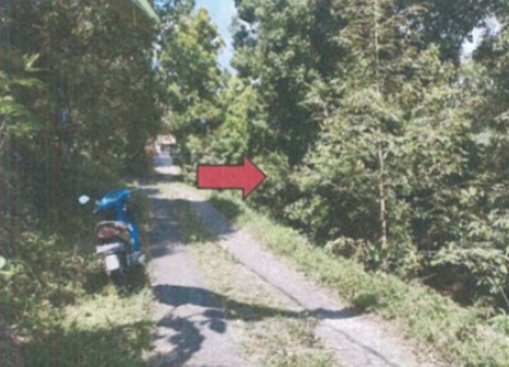 Lelang Tanah luas 11,3 are di Ambengan, Sukasada, Buleleng — foto 4