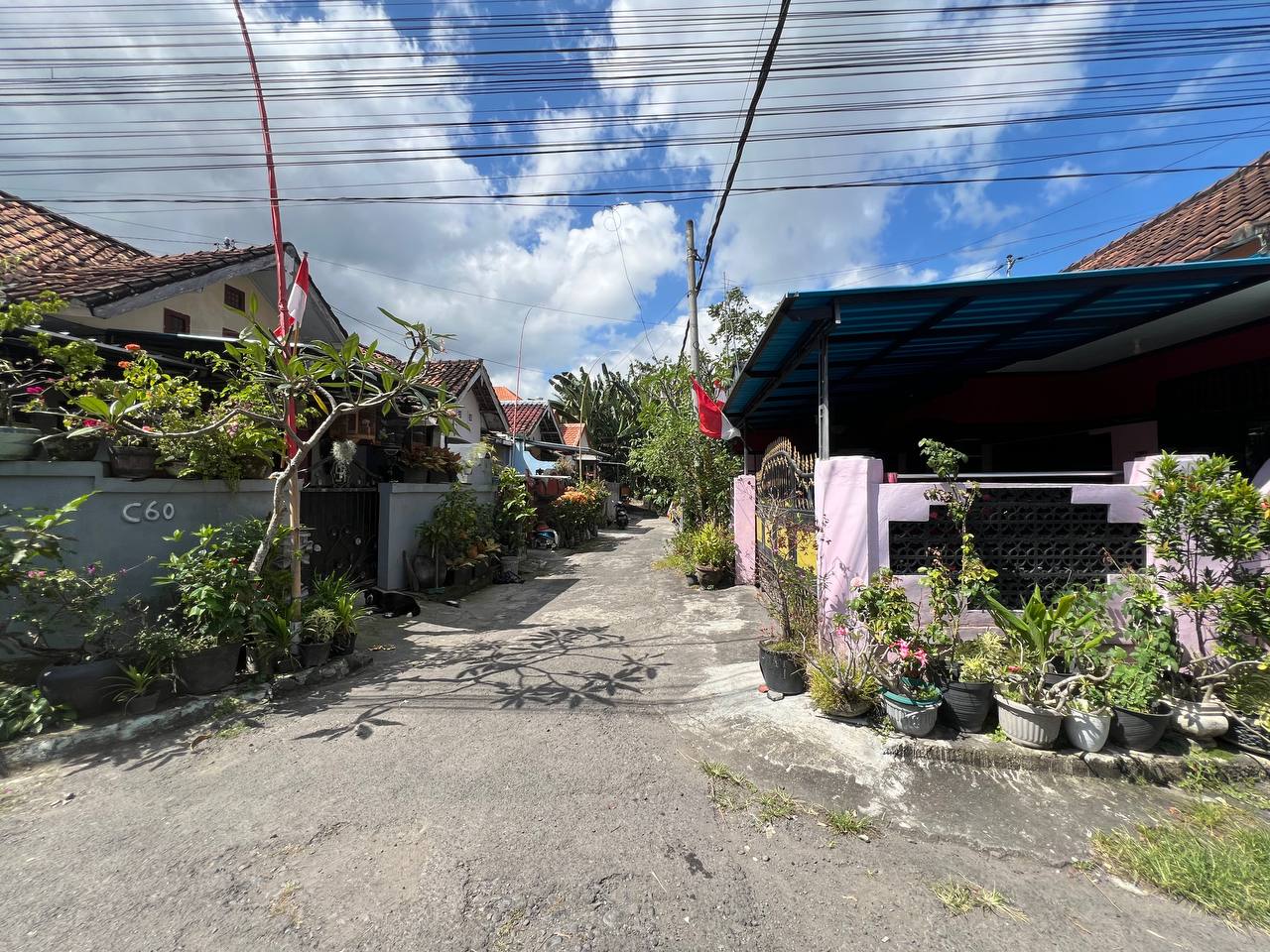 Lelang Rumah luas 0,85 are di Serongga, Gianyar, Gianyar — foto 5