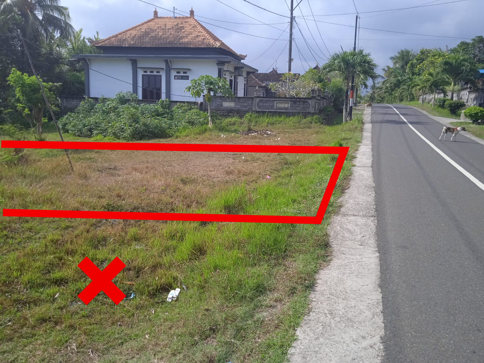 Lelang Tanah luas 2,25 are di Kaliakah, Negara, Jembrana — foto 2
