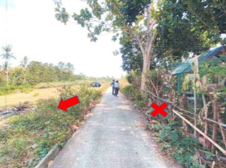 Lelang Tanah luas 5 are di Banyubiru, Negara, Jembrana — foto 6