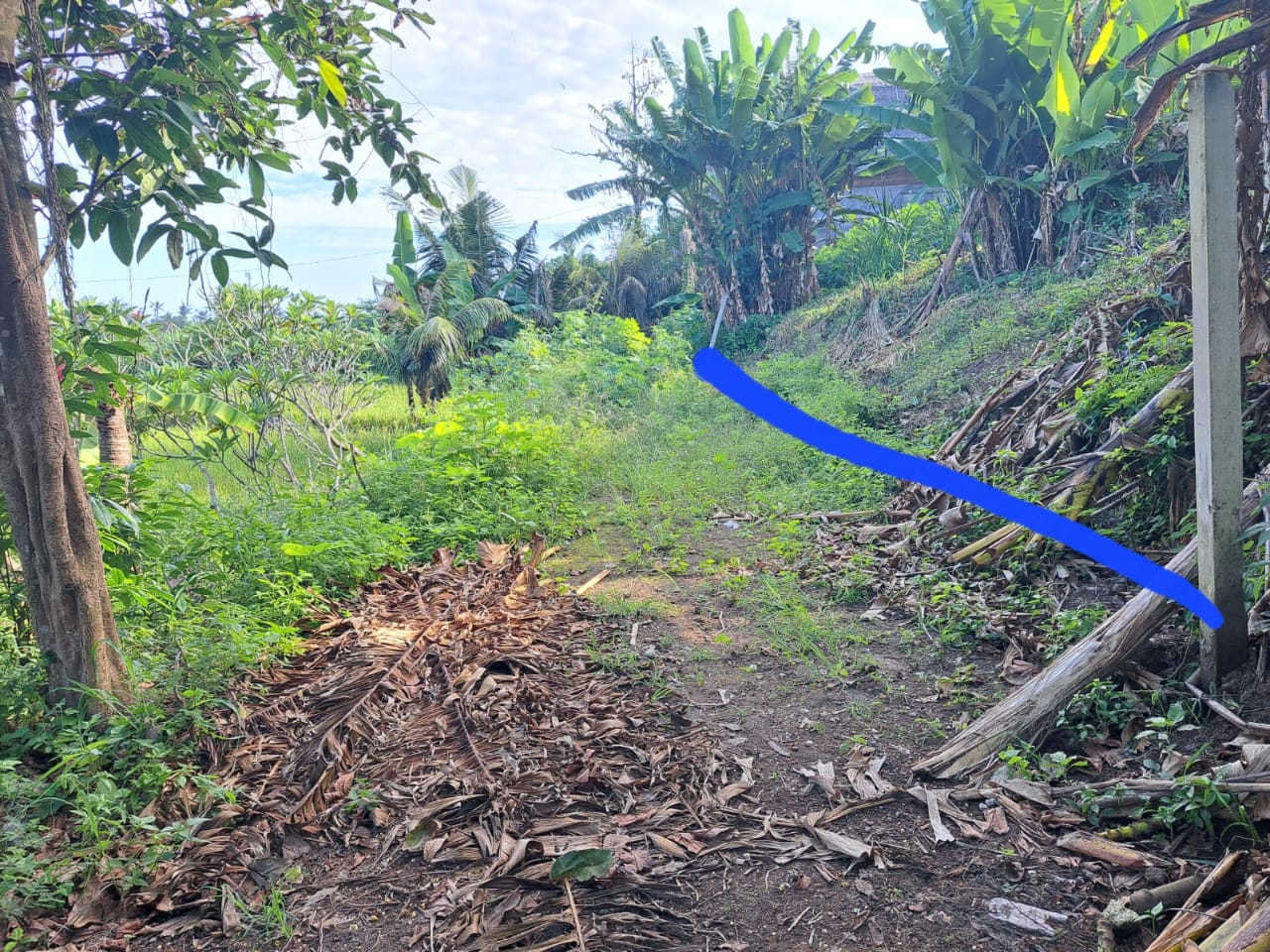 Tanah 2,8 are dekat pantai lebih