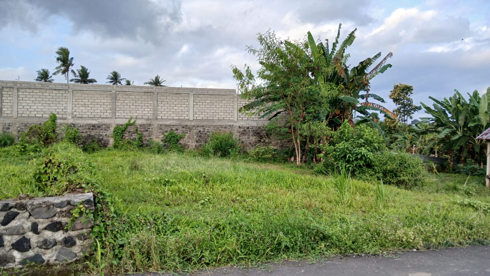 Tanah 2,3 are di Antugan, Blahbatuh