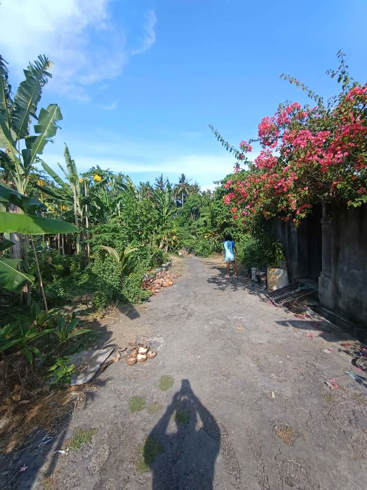 Tanah 1,25 are di Jl. Raya Tojan, Pering