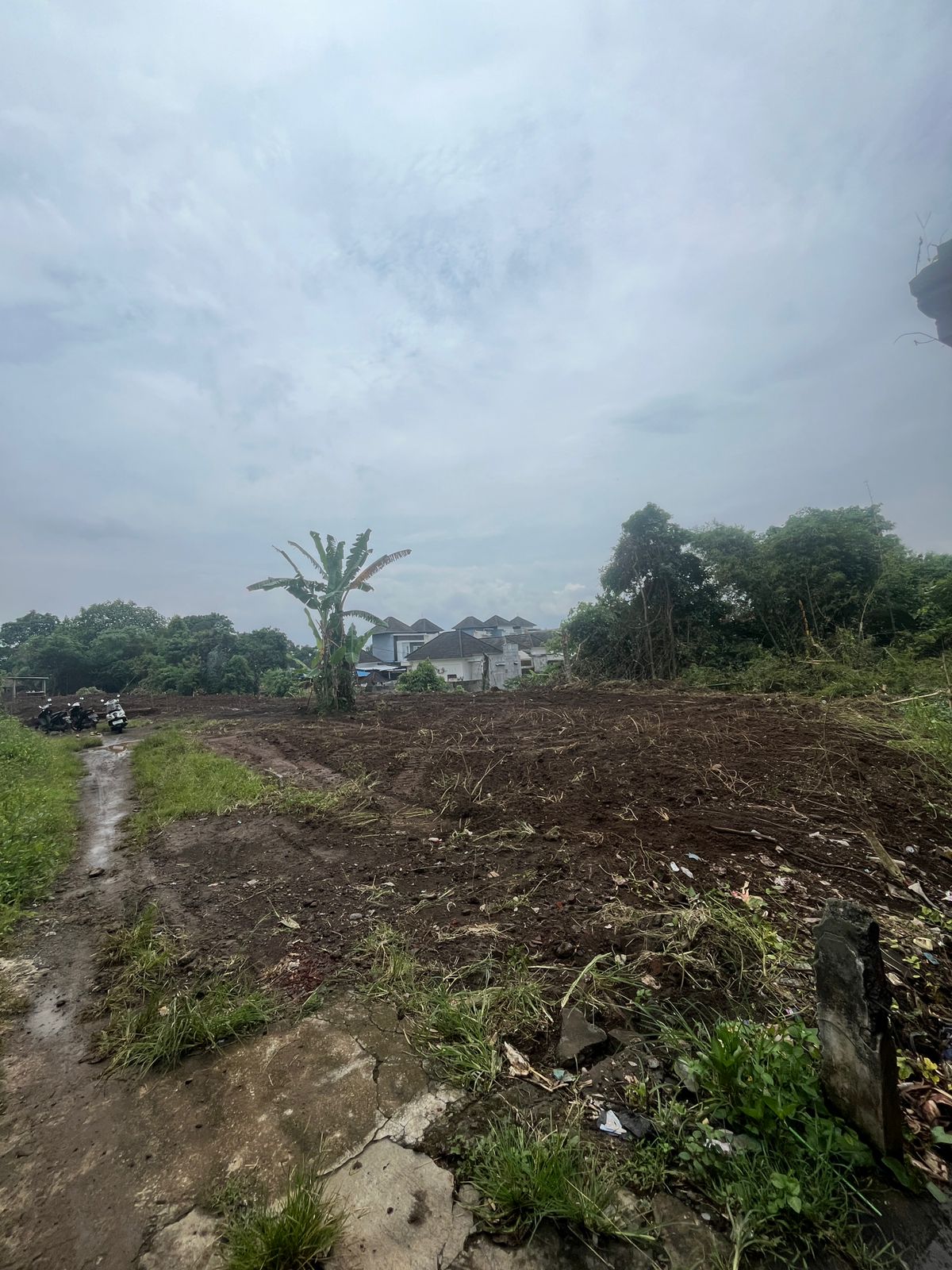 Tanah Kavling mulai 1 are di Serongga, Gianyar