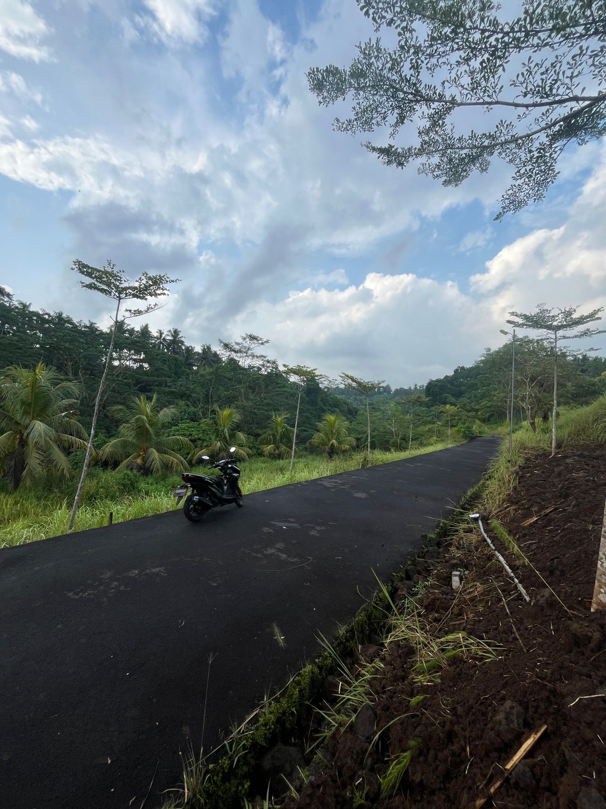 Tanah 2,8 are di Dukuh Sari, Buruan