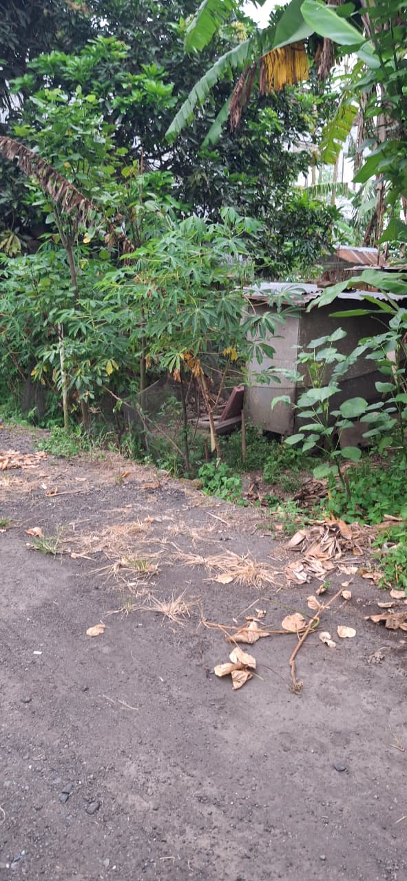 tanah 1 are di Pinggir Jalan Utama Tulikup - Siyut