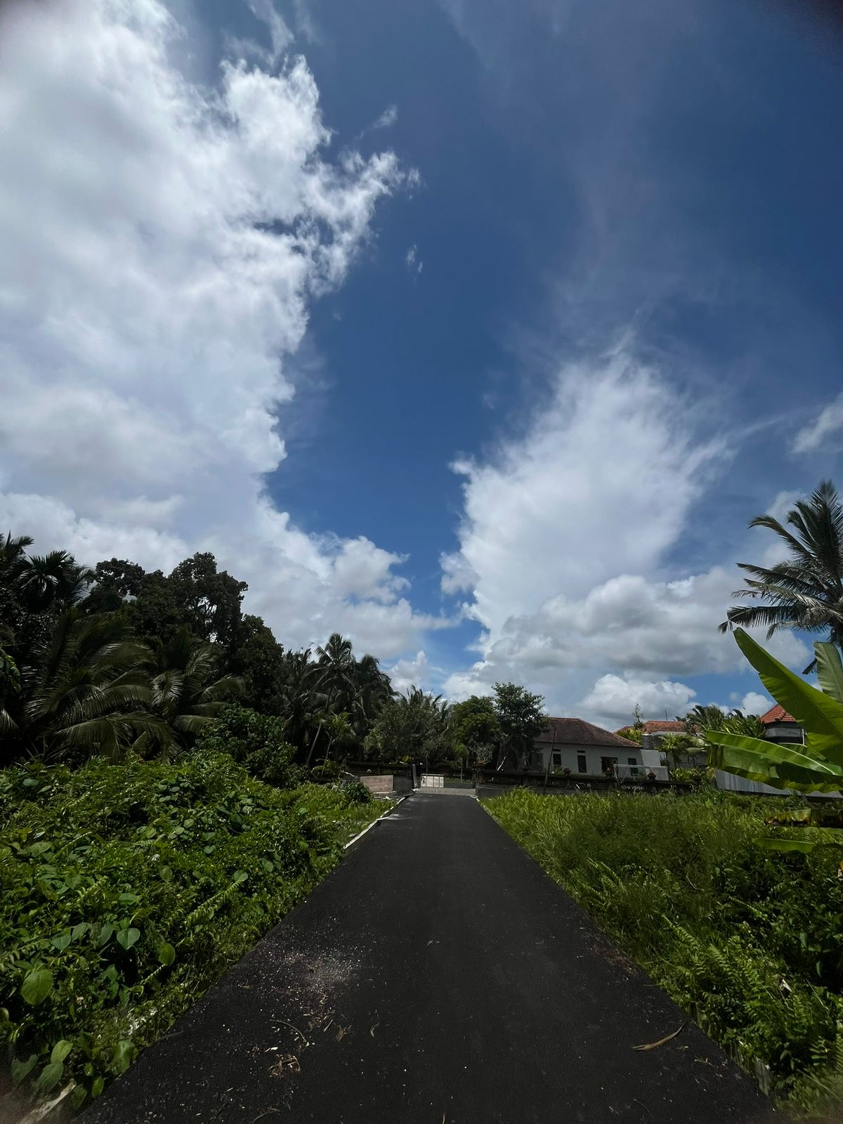 Tanah 1,8 are di Desa Tampaksiring, Gianyar