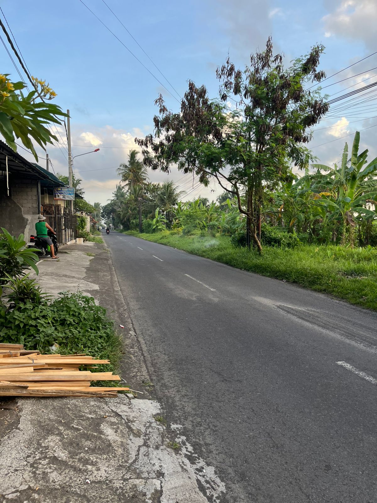 Tanah 33 are di Siangan, Gianyar