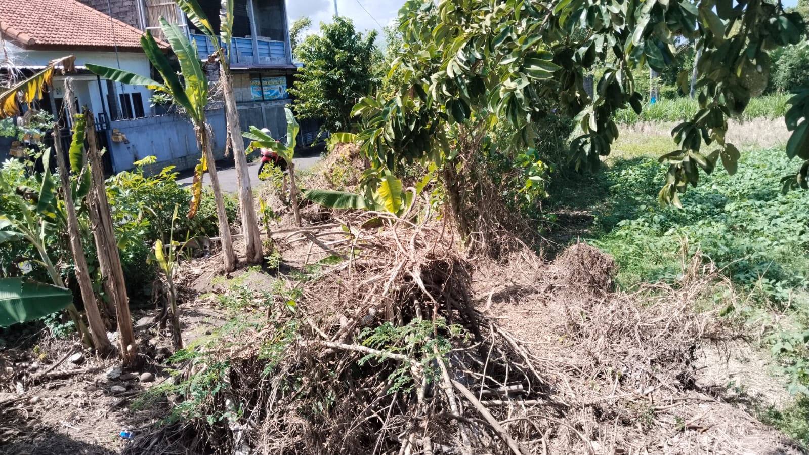 Tanah 1 Are di Jl. Mulawarman Tedung, Gianyar