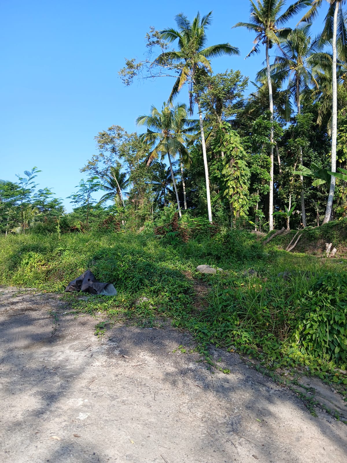 Tanah Kavling Mulai 1,5 are di Siangan, Gianyar
