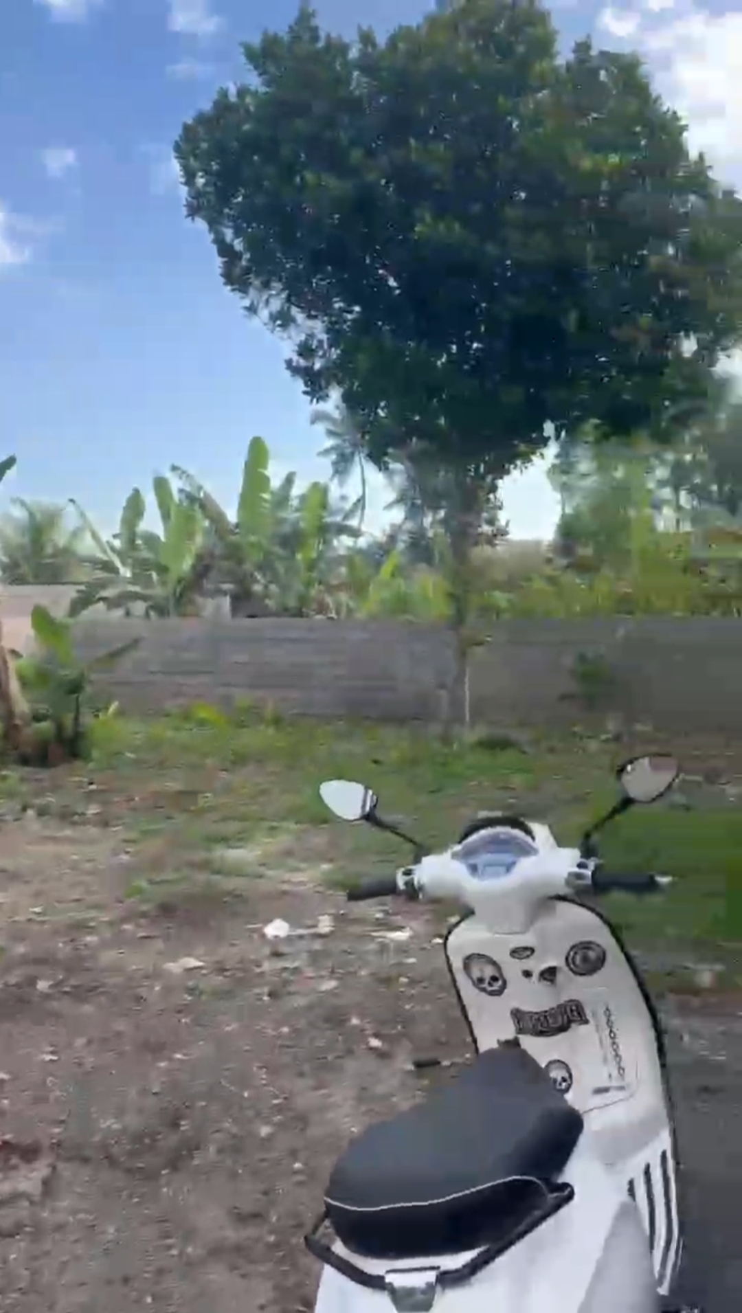 Tanah 1,8 Are di Br. Bandung, Siangan, Gianyar