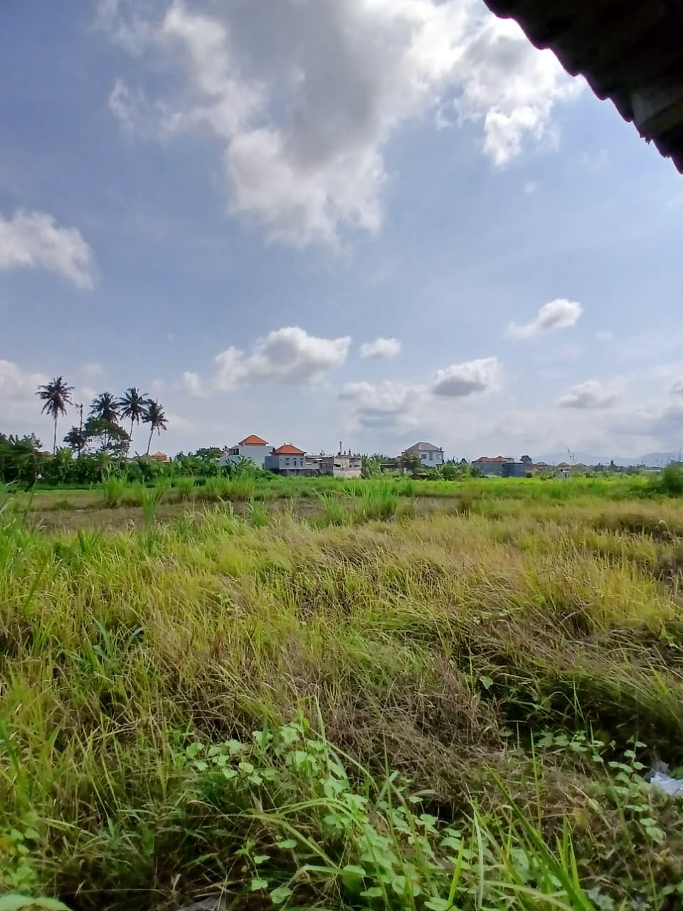 Tanah 7 are di Abianbase, Gianyar