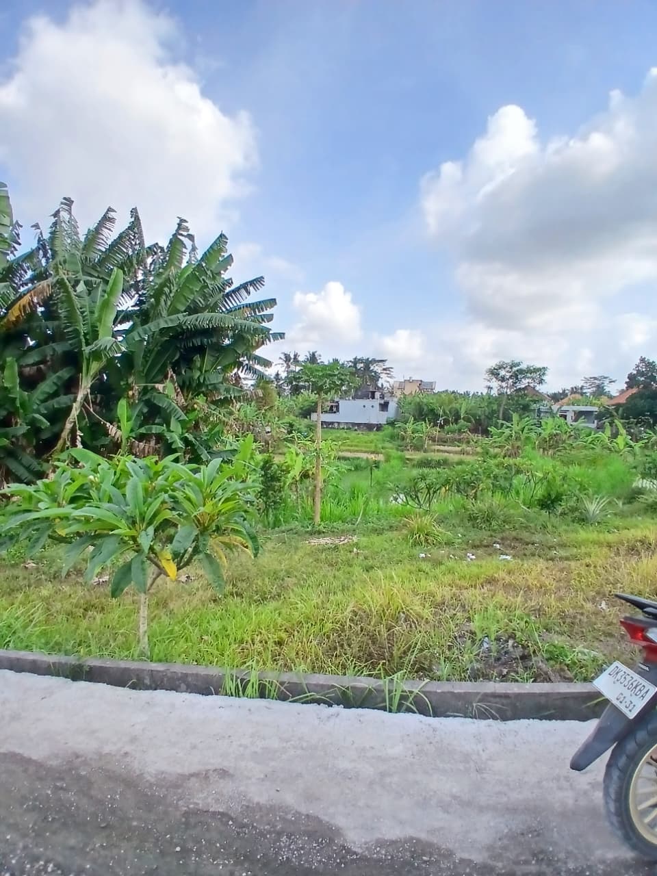 Tanah 2,09 are di Dharma Patni, ByPass Dharma Giri Gianyar